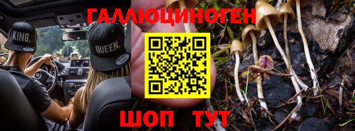 Галлюциногенные грибы мухоморы  Вход с VPN  Маркс  даркнет сайт  Галлюциногенные грибы прущие грибы 