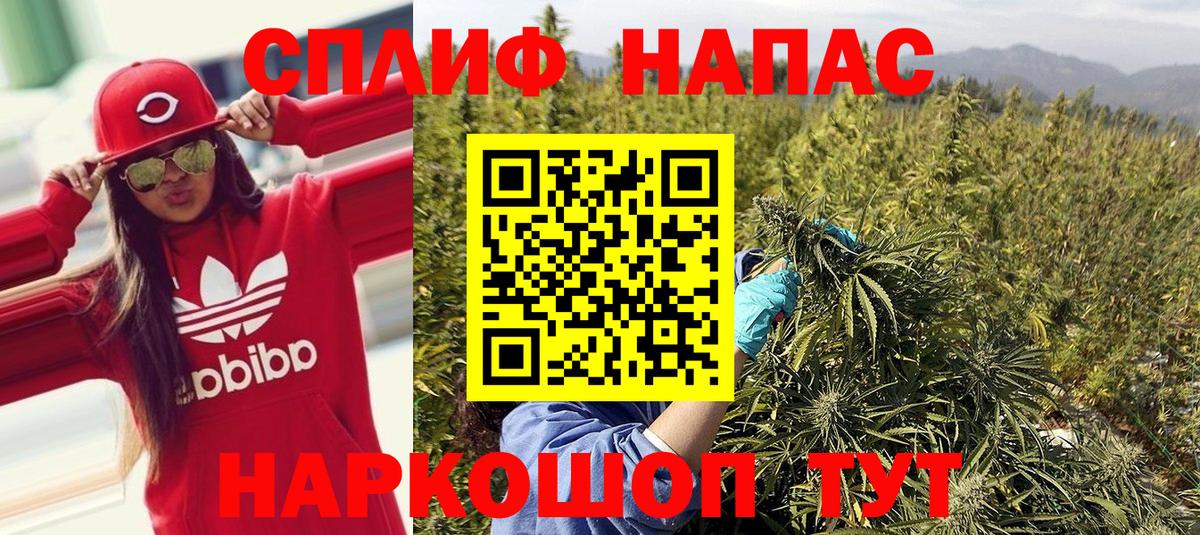 Маркс  Каннабис индика  Марихуана OG Kush  Конопля семена  Вход с VPN 